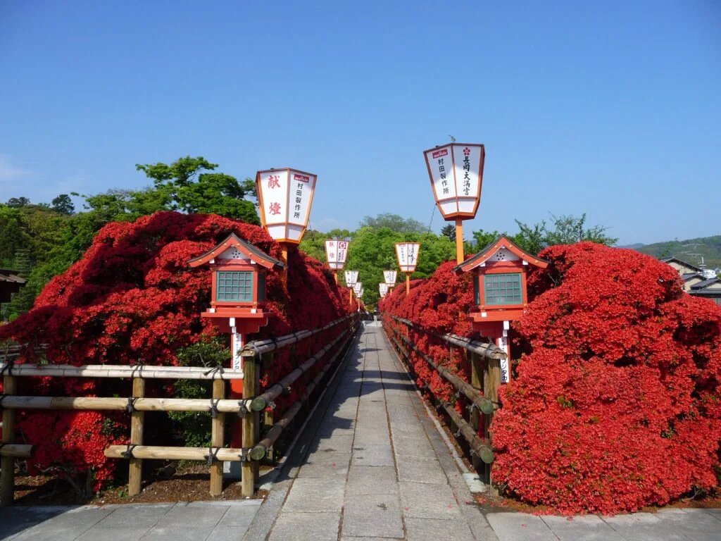 ⛩️ 나가오카 덴만구 신사 이미지 1